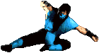 Sub-Zero's Telefreeze Pose Mechanic.gif