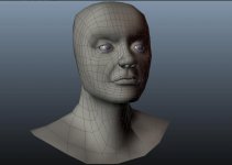 sonya face early wip.jpg