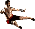All the MK Roster's Flying Kick & Sweeping Mechanics.gif All the MK Roster's Flying Kick & Sweeping Mechanics.gif