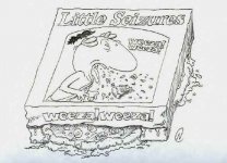 little-seizures-1.jpg