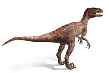 Dromaeosaurus_1.jpg