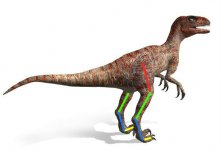 Dromaeosaurus_1.jpg