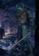 rockys ninja turtle.jpg