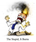 The stupid it burns.jpg