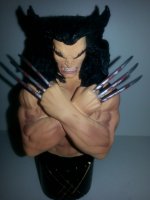 WOLVERINEEE20150327_182101.jpg