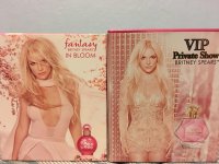 britney spears vip private show and fantasy in bloom.jpg