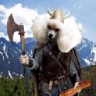 Viking_Poodle