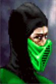 Reptile